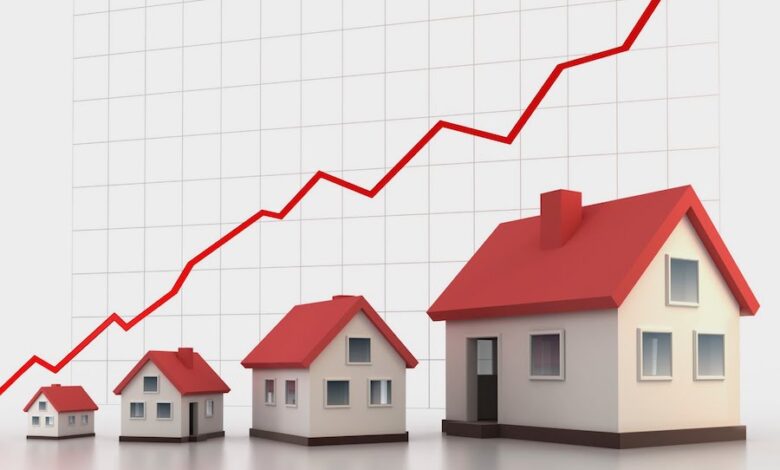 Contoh Investasi Jangka Panjang