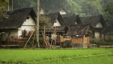 Mengapa Kita Harus Selalu Meningkatkan Persatuan dan Kesatuan Bangsa